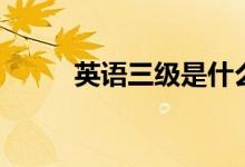 英語三級(jí)是什么（什么時(shí)間考試）