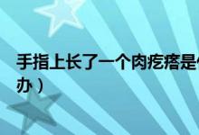 手指上長了一個肉疙瘩是什么（手指上長了一個肉疙瘩怎么辦）