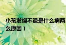 小孩發(fā)燒不退是什么病兩歲到五歲之間（小孩發(fā)燒不退是什么原因）