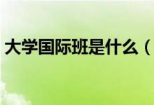 大學(xué)國際班是什么（大學(xué)國際班是什么意思）
