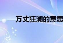 萬丈狂瀾的意思（什么是萬丈狂瀾）