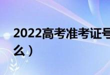 2022高考準(zhǔn)考證號怎么查座位號（方法是什么）