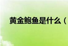 黃金鮑魚是什么（黃金鮑魚是什么東西）