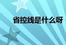 省控線是什么呀（省控線是什么意思）