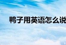 鴨子用英語怎么說（鴨子用英語如何說）