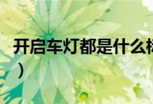 開啟車燈都是什么標志（燈的圖標分別是什么）