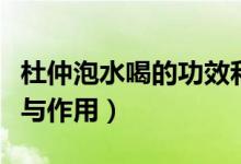 杜仲泡水喝的功效和作用（杜仲泡水喝的功效與作用）