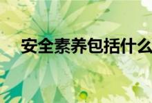 安全素養(yǎng)包括什么（安全素養(yǎng)包括哪些）