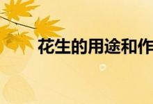 花生的用途和作用（花生有什么用）