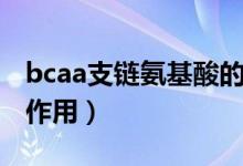 bcaa支鏈氨基酸的作用（bcaa支鏈氨基酸的作用）