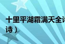 十里平湖霜滿天全詩繁體(十里平湖霜滿天全詩)