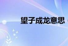 望子成龍意思（望子成龍的出處）