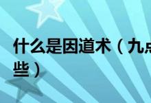 什么是因道術(shù)（九點(diǎn)領(lǐng)導(dǎo)力的主要內(nèi)容包括哪些）