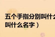 五個(gè)手指分別叫什么名字英文（五個(gè)手指分別叫什么名字）