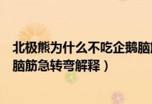 北極熊為什么不吃企鵝腦筋急轉(zhuǎn)彎（北極熊為什么不吃企鵝腦筋急轉(zhuǎn)彎解釋）