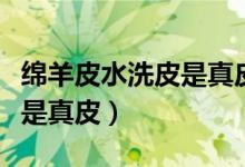 綿羊皮水洗皮是真皮嗎（水洗綿羊皮到底是不是真皮）