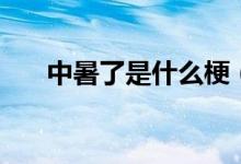 中暑了是什么梗（中暑了是什么反應(yīng)）