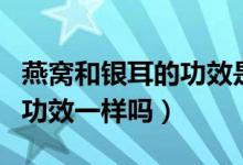 燕窩和銀耳的功效是一樣的嗎（燕窩和銀耳的功效一樣嗎）