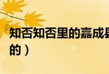 知否知否里的嘉成縣主（知否嘉成縣主誰(shuí)扮演的）