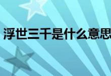 浮世三千是什么意思（浮世三千是什么意思）
