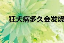 狂犬病多久會(huì)發(fā)燒（狂犬病多久會(huì)發(fā)作）