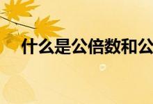 什么是公倍數(shù)和公因數(shù)（什么是公倍數(shù)）