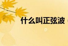 什么叫正弦波（什么叫正交矩陣）