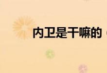 內(nèi)衛(wèi)是干嘛的（內(nèi)衛(wèi)是干什么的）