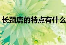 長頸鹿的特點(diǎn)有什么（長頸鹿的特點(diǎn)和本領(lǐng)）