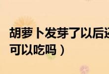 胡蘿卜發(fā)芽了以后還能吃嗎（胡蘿卜發(fā)芽了還可以吃嗎）