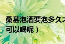 桑葚泡酒要泡多久才能喝（新鮮桑葚泡酒多久可以喝呢）