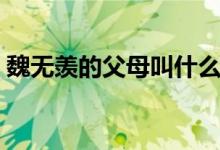 魏無羨的父母叫什么（魏無羨的父母都是誰）