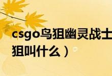 csgo鳥狙幽靈戰(zhàn)士貼什么貼紙好看（csgo鳥狙叫什么）