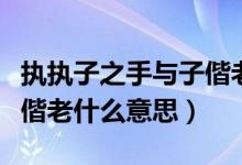 執(zhí)執(zhí)子之手與子偕老是什么意思（執(zhí)之手與子偕老什么意思）