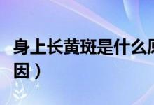 身上長黃斑是什么原因（身上長黃斑是什么原因）