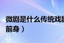 微劇是什么傳統(tǒng)戲?。ㄎ∈鞘裁磦鹘y(tǒng)戲劇的前身）