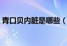 青口貝內(nèi)臟是哪些（青口貝內(nèi)臟是哪一部分）