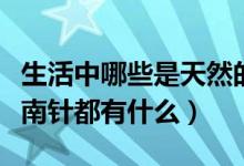 生活中哪些是天然的指南針（生活中天然的指南針都有什么）