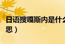 日語(yǔ)搜嘎斯內(nèi)是什么意思（搜嘎斯內(nèi)是什么意思）