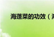 海蓬菜的功效（海蓬菜的功效與作用）