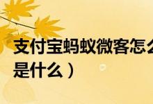 支付寶螞蟻微客怎么樣認(rèn)證（支付寶螞蟻微客是什么）