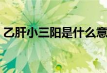 乙肝小三陽是什么意思（什么是乙肝小三陽）