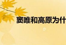 竇唯和高原為什么離婚（什么原因）