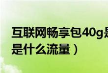 互聯(lián)網(wǎng)暢享包40g是什么（互聯(lián)網(wǎng)暢享包40g是什么流量）