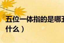 五位一體指的是哪五個方面（五位一體指的是什么）