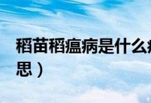 稻苗稻瘟病是什么癥狀（dm單位表示什么意思）