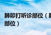 肺叩打聽診部位（肺部叩診聽診各幾個(gè)點(diǎn)以及部位）