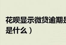 花唄顯示微貸逾期是什么問題（花唄顯示微貸是什么）
