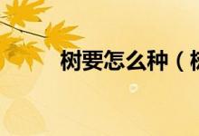 樹要怎么種（樹要怎么種才能活）