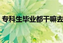 專科生畢業(yè)都干嘛去了（最好的出路是什么）